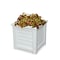 Mayne Lakeland 16x16 Planter - White 5866-W - alternate 2